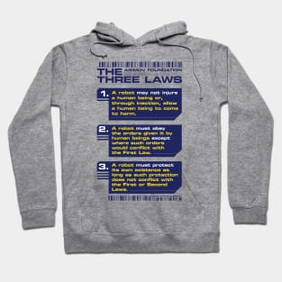 3 LAWS Hoodie